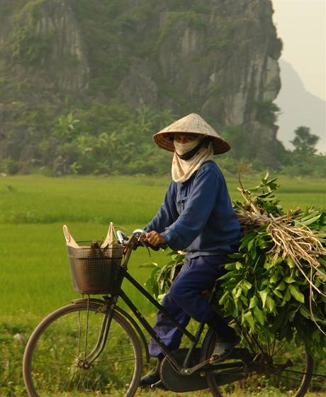 Vietnam, 24 daagse rondreis